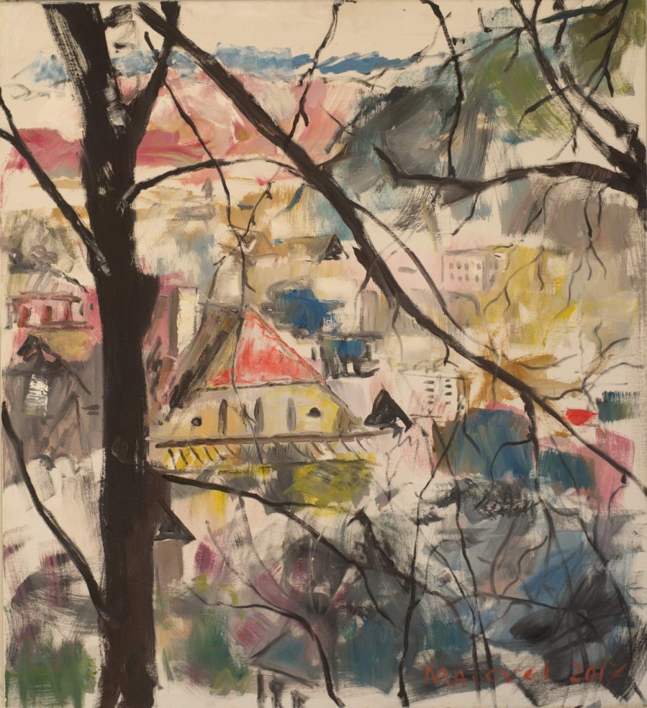 Case, Sighisoara
