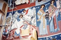 Biserica Vladiceni I
