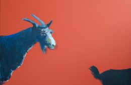 Capra